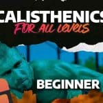 Can Calisthenics Build Muscle? (17+ Realistic Body Transformation Exam –  Gravgear